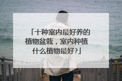 十种室内最好养的植物盆栽，室内种植什么植物最好?