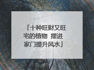 十种旺财又旺宅的植物 摆进家门提升风水