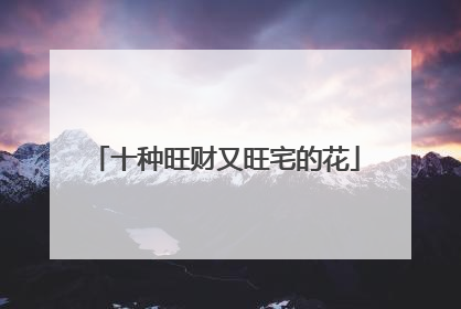十种旺财又旺宅的花