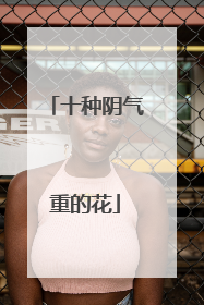 十种阴气重的花