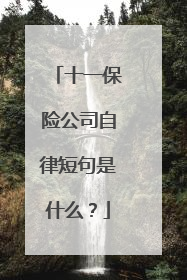 十一保险公司自律短句是什么?