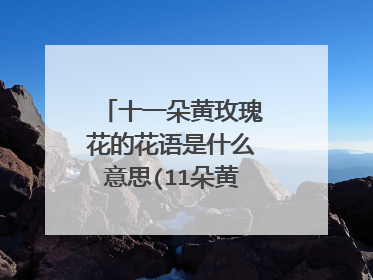 十一朵黄玫瑰花的花语是什么意思(11朵黄玫瑰的花语)