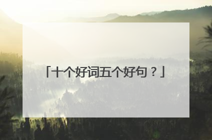 十个好词五个好句？