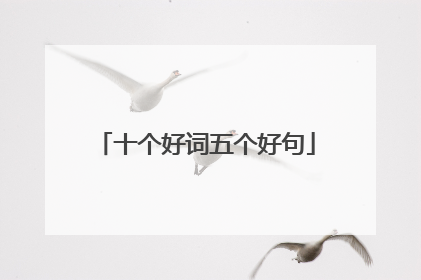 十个好词五个好句