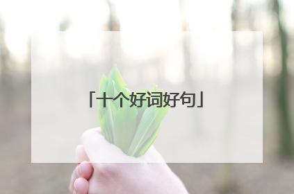 十个好词好句
