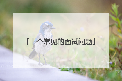 十个常见的面试问题