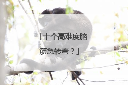 十个高难度脑筋急转弯?