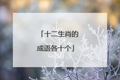 十二生肖的成语各十个