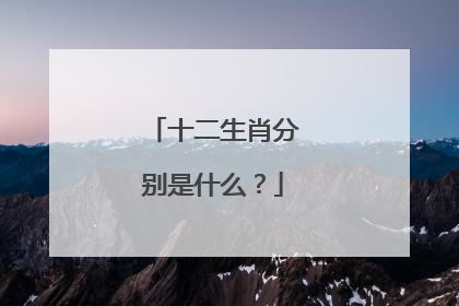 十二生肖分别是什么?