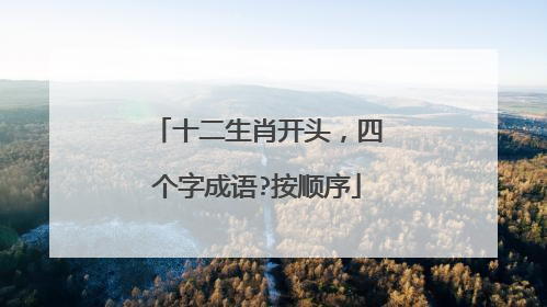 十二生肖开头，四个字成语?按顺序