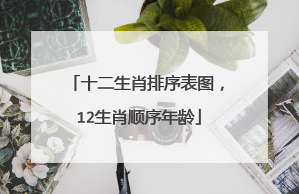 十二生肖排序表图,12生肖顺序年龄