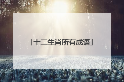 十二生肖所有成语