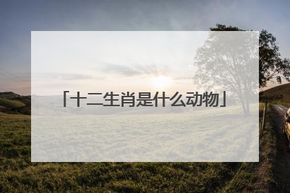 十二生肖是什么动物