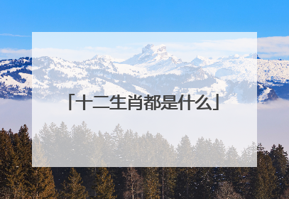 十二生肖都是什么