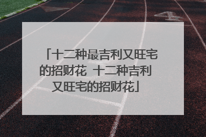 十二种最吉利又旺宅的招财花 十二种吉利又旺宅的招财花