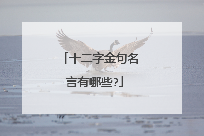 十二字金句名言有哪些?