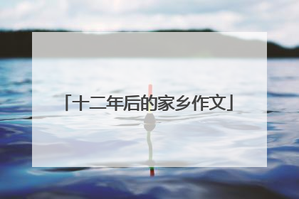 十二年后的家乡作文