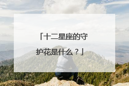 十二星座的守护花是什么?