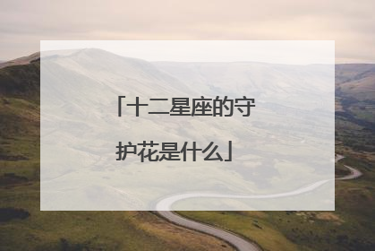十二星座的守护花是什么