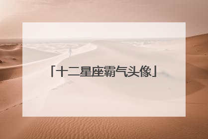 十二星座霸气头像