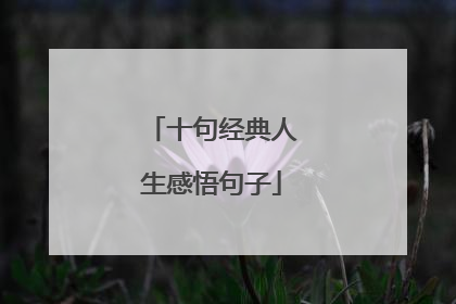 十句经典人生感悟句子