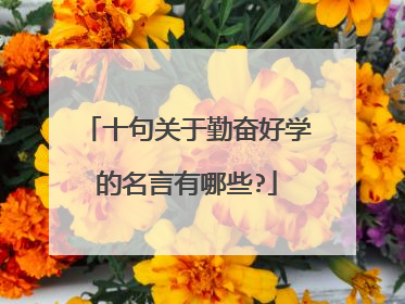 十句关于勤奋好学的名言有哪些?