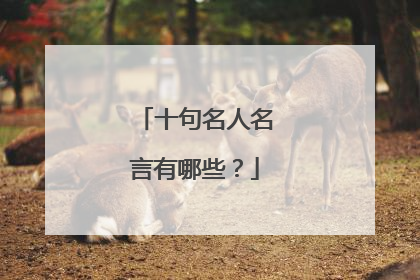 十句名人名言有哪些？