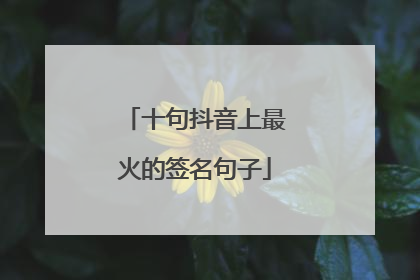十句抖音上最火的签名句子