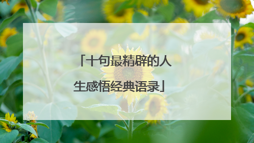 十句最精辟的人生感悟经典语录