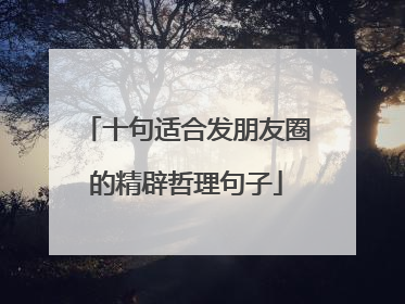 十句适合发朋友圈的精辟哲理句子