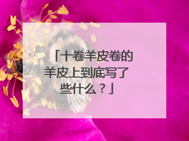 十卷羊皮卷的羊皮上到底写了些什么?