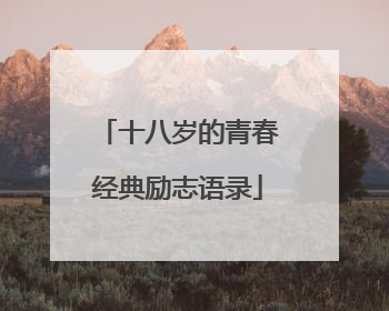 十八岁的青春经典励志语录