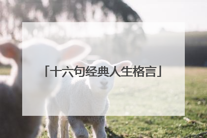 十六句经典人生格言