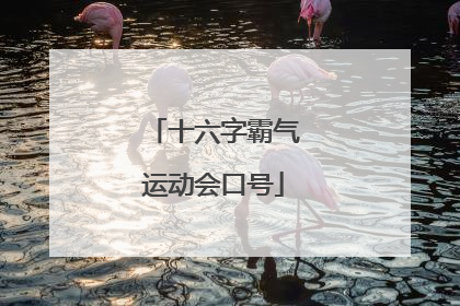 十六字霸气运动会口号