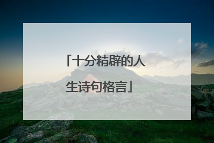 十分精辟的人生诗句格言