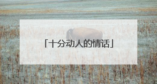 十分动人的情话