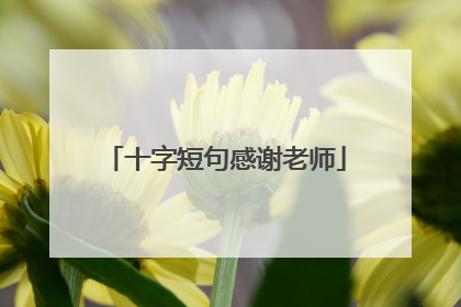 十字短句感谢老师