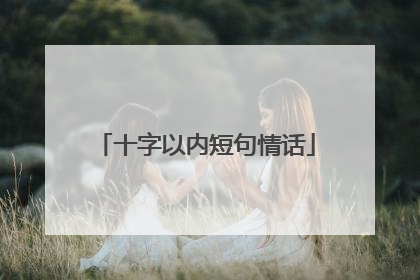 十字以内短句情话