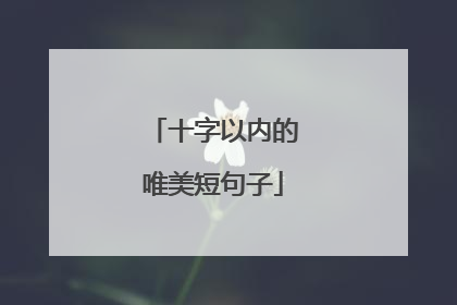 十字以内的唯美短句子