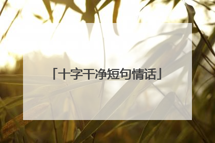 十字干净短句情话