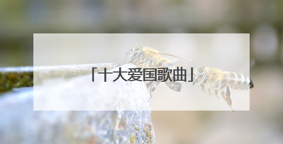 十大爱国歌曲