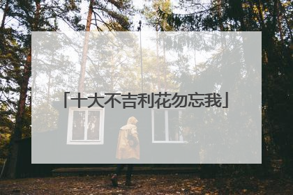 十大不吉利花勿忘我