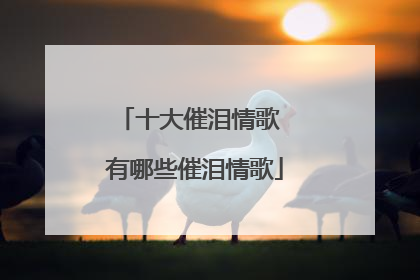 十大催泪情歌 有哪些催泪情歌