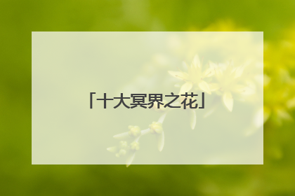 十大冥界之花