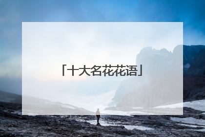 十大名花花语