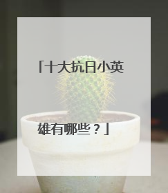 十大抗日小英雄有哪些?
