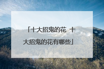 十大招鬼的花 十大招鬼的花有哪些