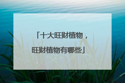 十大旺财植物，旺财植物有哪些