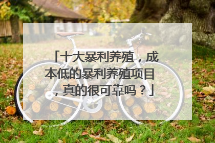 十大暴利养殖，成本低的暴利养殖项目，真的很可靠吗？