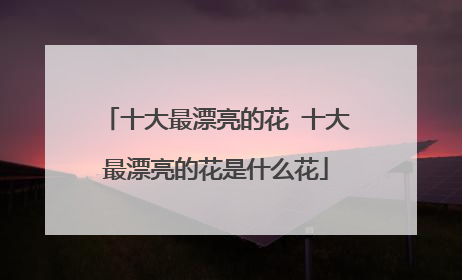 十大最漂亮的花 十大最漂亮的花是什么花